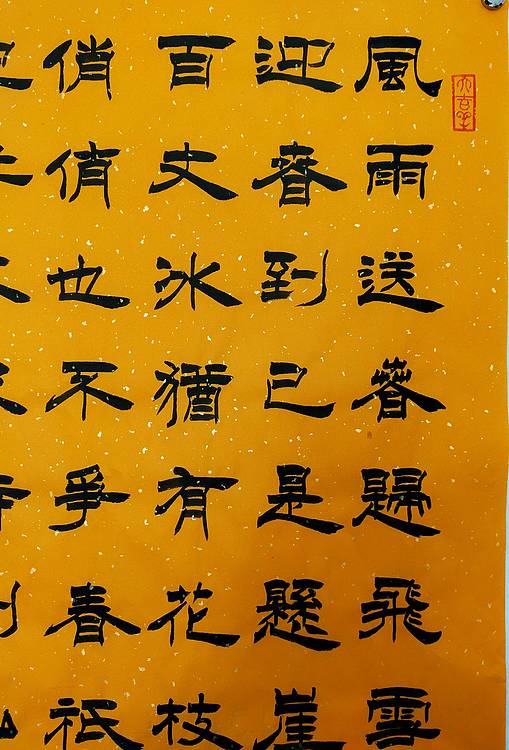 河北省书协会员何守国    卜算子咏梅