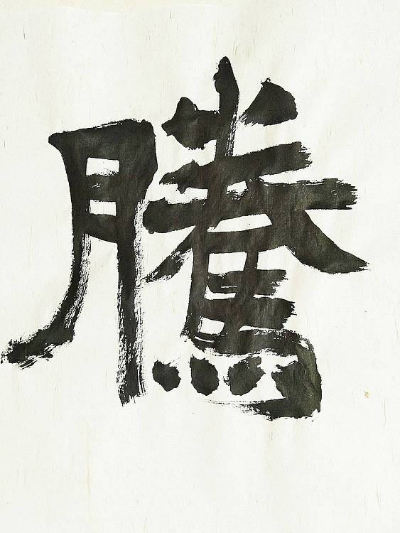 飞黄腾达   著名书法家学者王刚作品