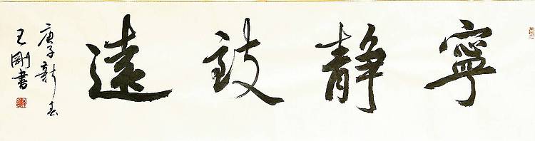 宁静致远   著名学者书法家王刚作品