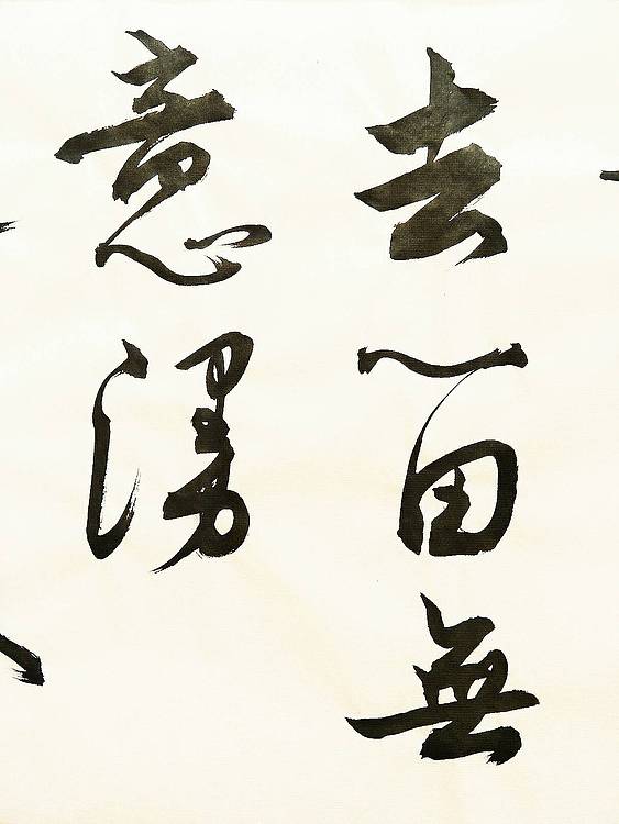 宠辱不惊   著名学者书法家王刚作品