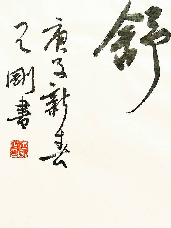 宠辱不惊   著名学者书法家王刚作品