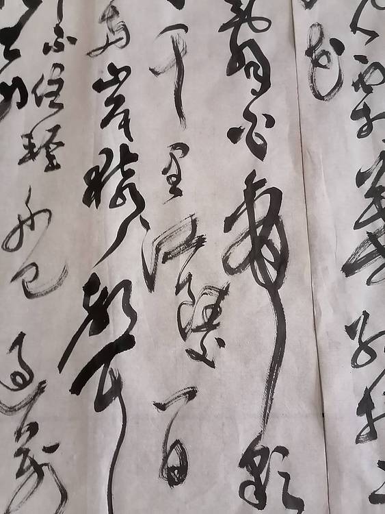 中国书画协会会员，实力派书法家
