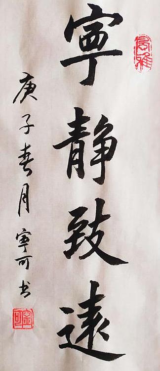 陕西省长安书画研究院-宁可 书法19