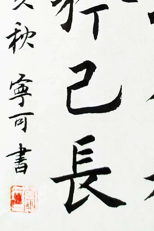 陕西省长安书画研究院-宁可 书法12