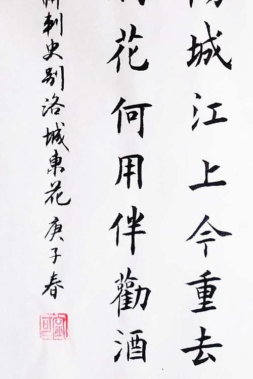 陕西省长安书画研究院-宁可 书法17