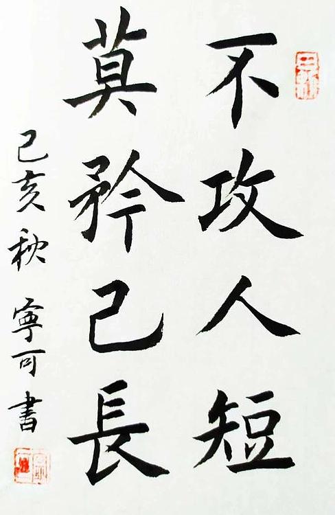 陕西省长安书画研究院-宁可 书法12