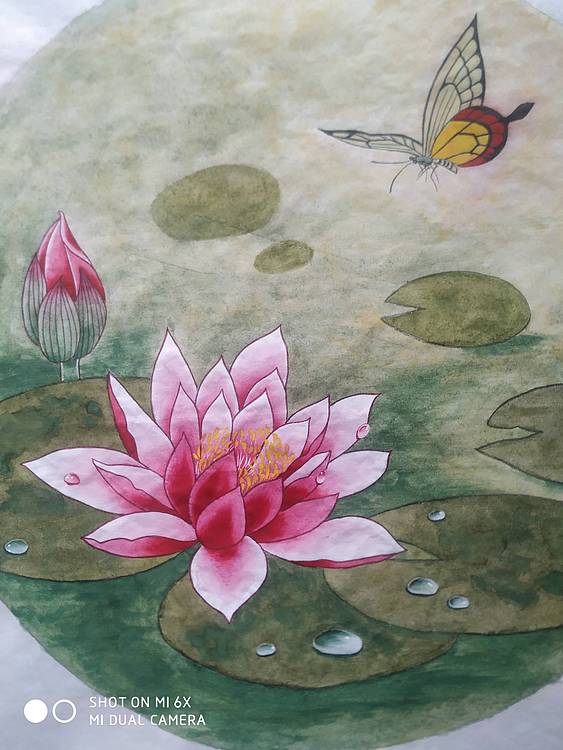 镜花水月 莲