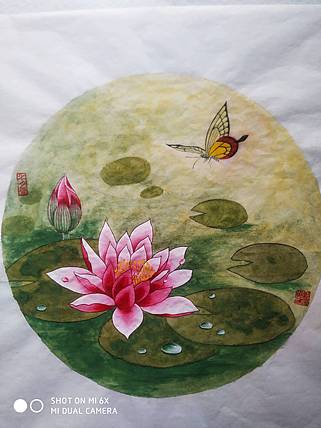 镜花水月 莲