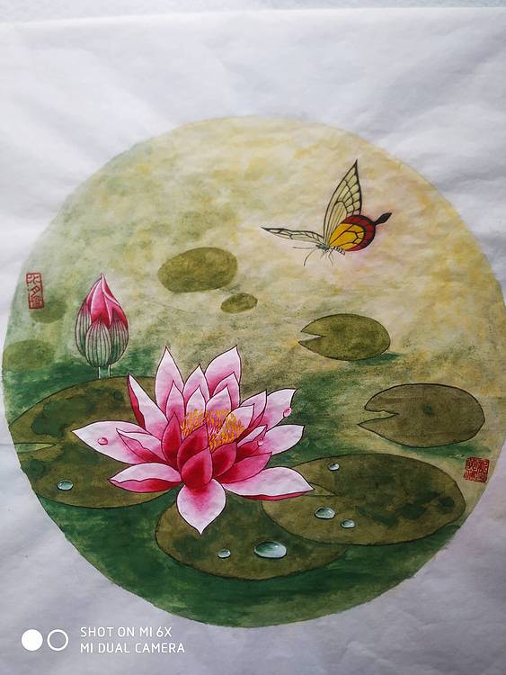 镜花水月 莲