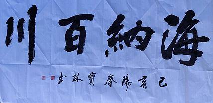 翟宝林 翟宝林
