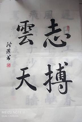 职业书画家 志搏云天