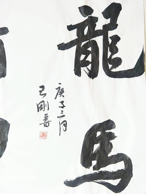 王刚 龙马精神   书协理事学者王刚作品
