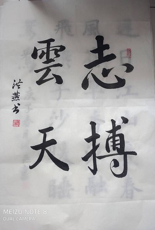 职业书画家 志搏云天