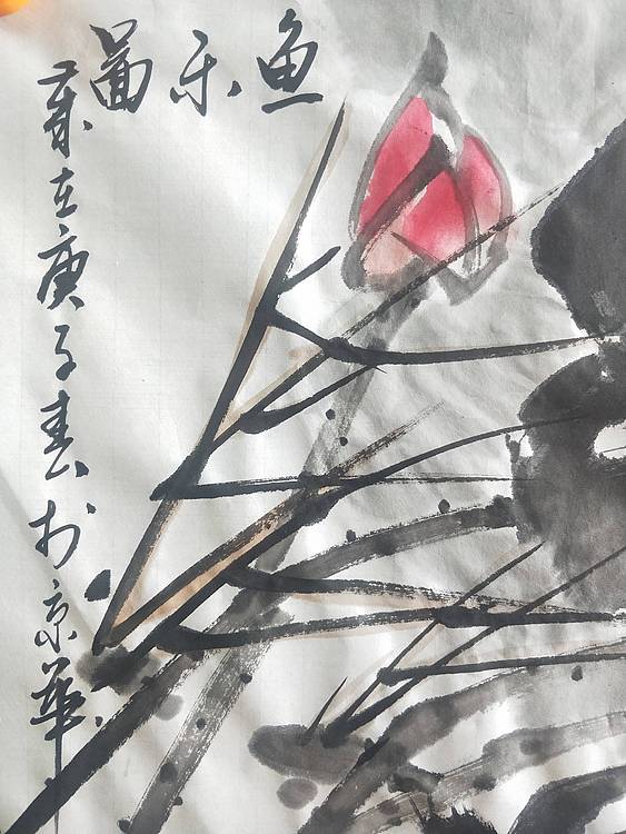 中国花鸟画研修院高研班 荷花鱼乐图。