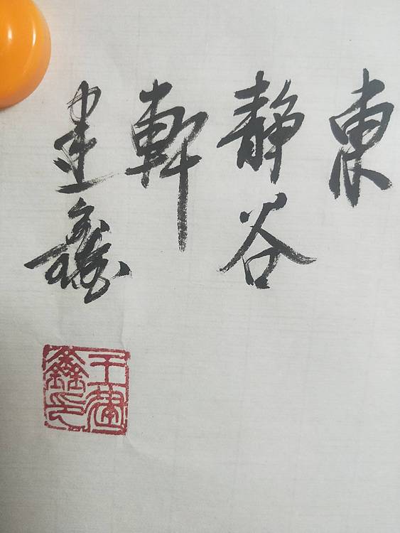 中国花鸟画研修院高研班 凌霄图，闹春。
