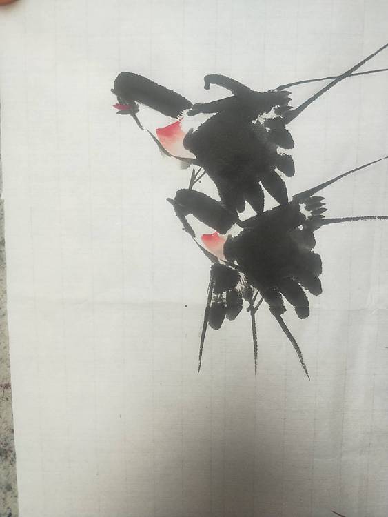 中国花鸟画研修院高研班 荷花图，燕舞。