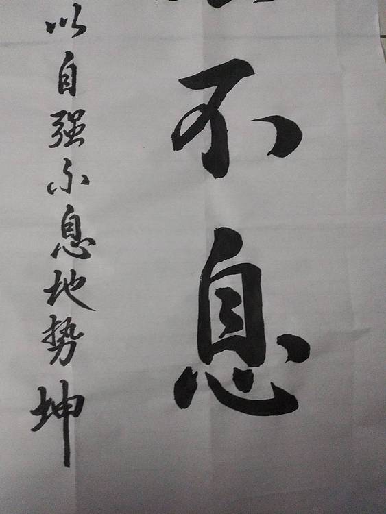 职业书画家 白洪燕 自强不息