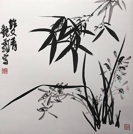 许艳霞 许艳霞