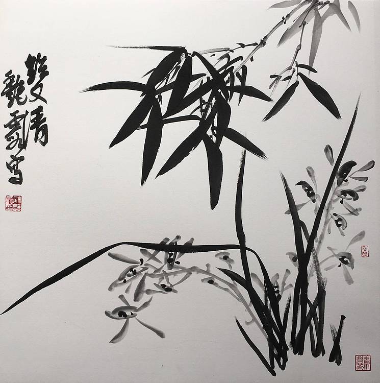 许艳霞 许艳霞