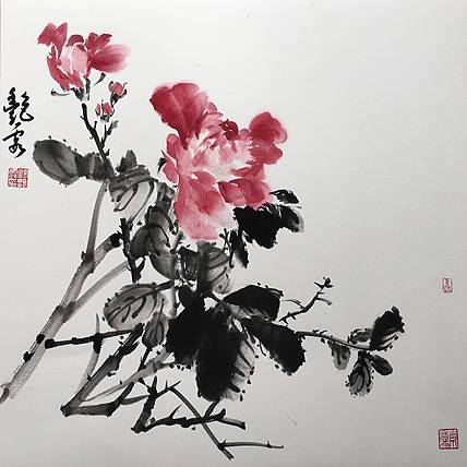 许艳霞 许艳霞