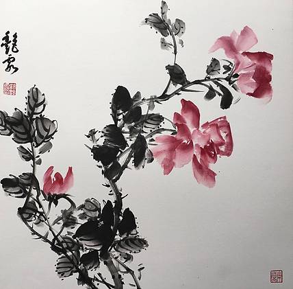 许艳霞 许艳霞