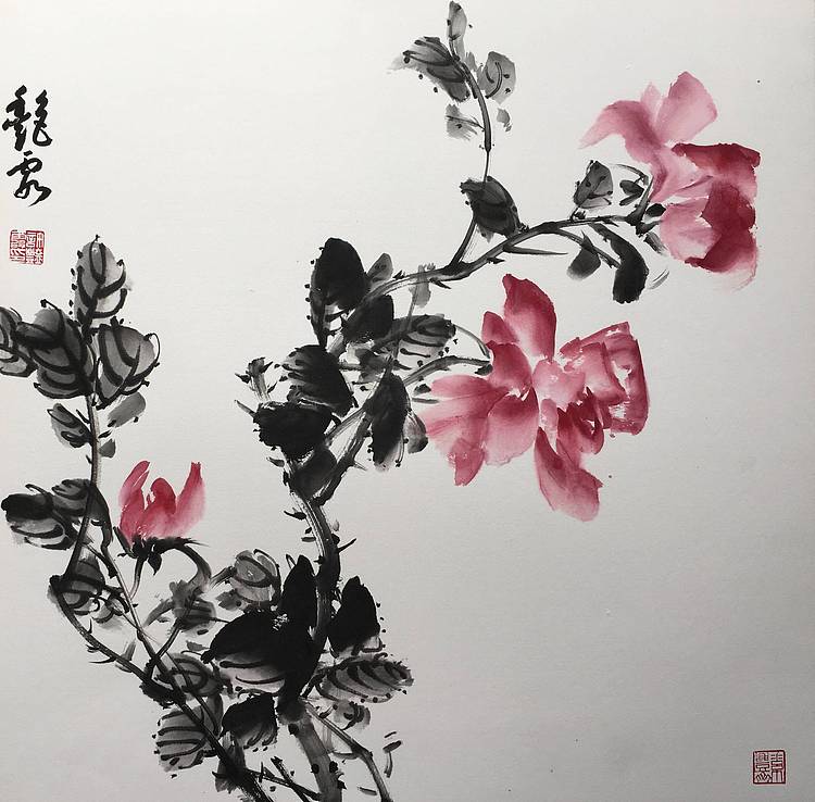 许艳霞 许艳霞