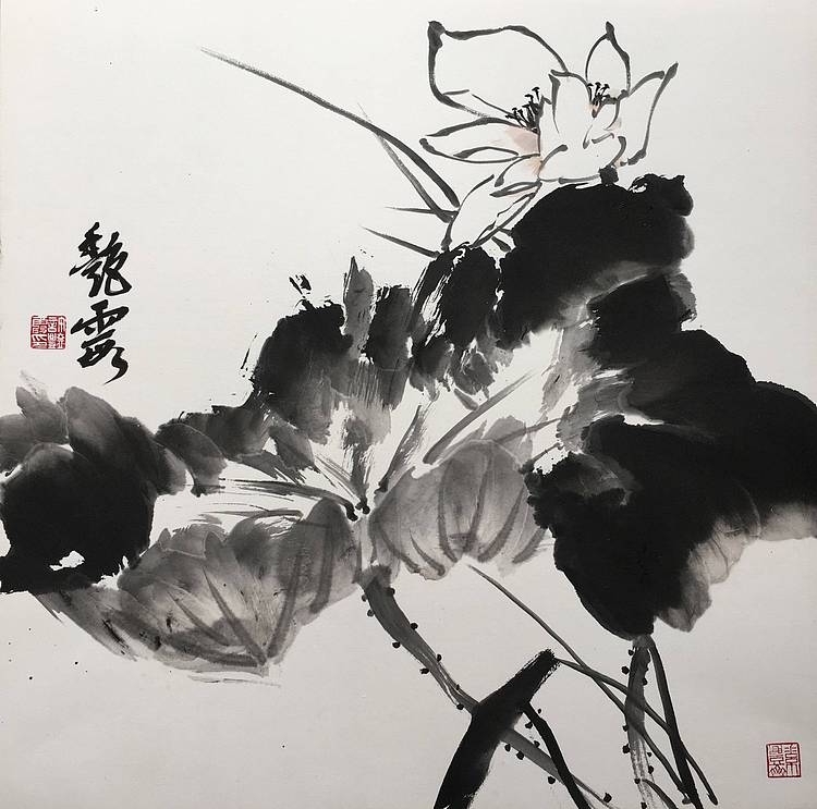 许艳霞 许艳霞