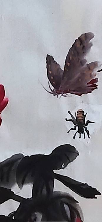 青年书画家 闫桂芹 花开富贵