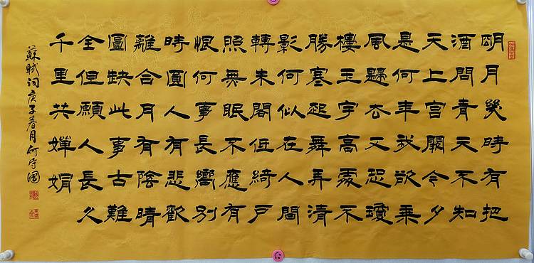 何守国 河北省书协会员   何守国  苏轼词一首
