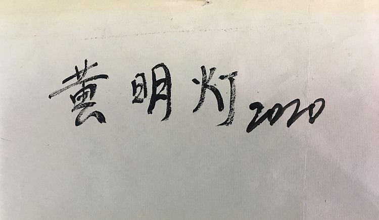 黄明灯手绘油画作品《清新淡雅》