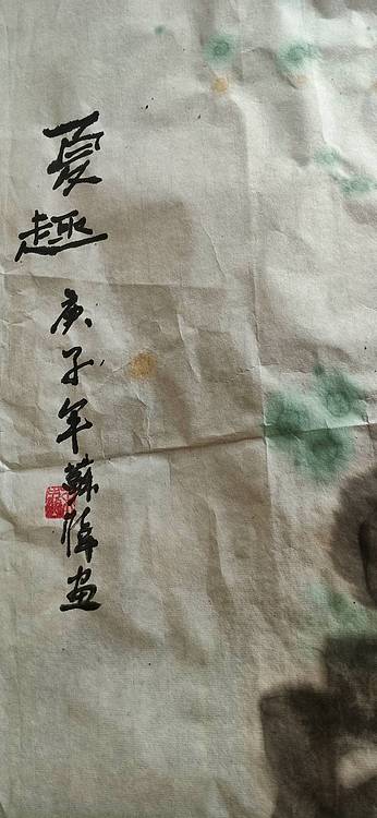 清雅芬芳 荷趣