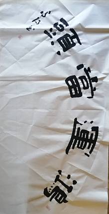李凤阳 河北书协会员李凤阳书法作品