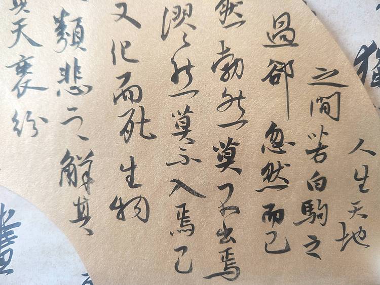 王刚 扇面人生天地间    书协理事王刚作品