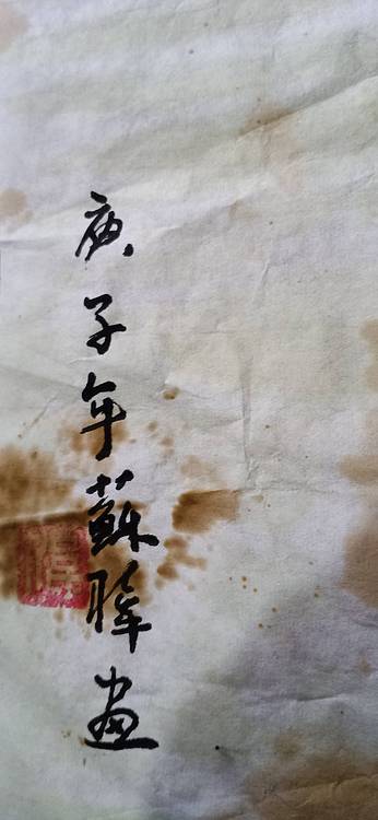 清雅芬芳 荷