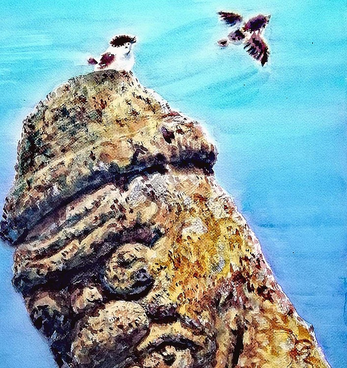 《静守》
