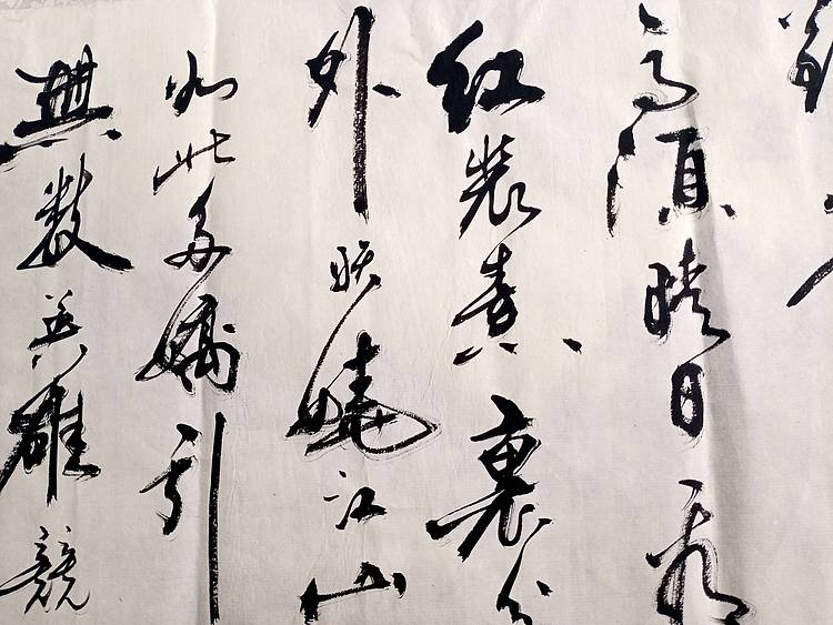 王龍 毛泽东主席沁园春雪（北国风光）
