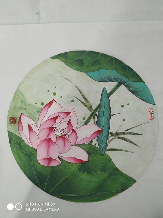 镜花水月 荷