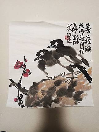 不帅 喜上枝头