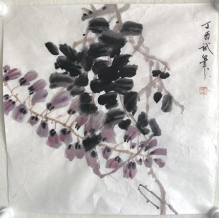 紫藤