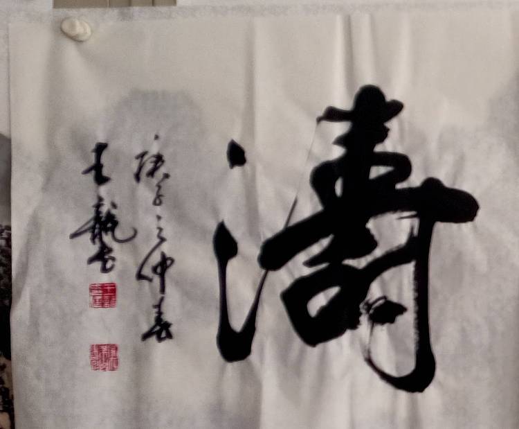 王龍 实力派書畫家王龍