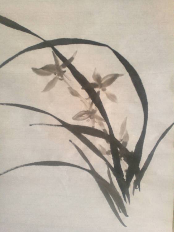 粟承志 春兰