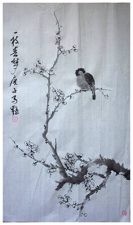 丰色 梅花