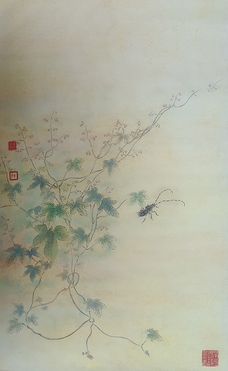 同羽 花鸟