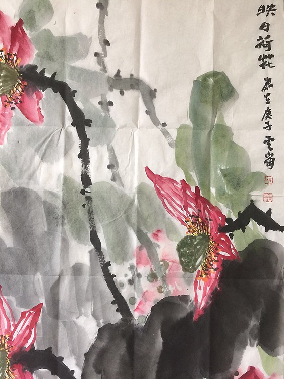 云岗 映日荷花