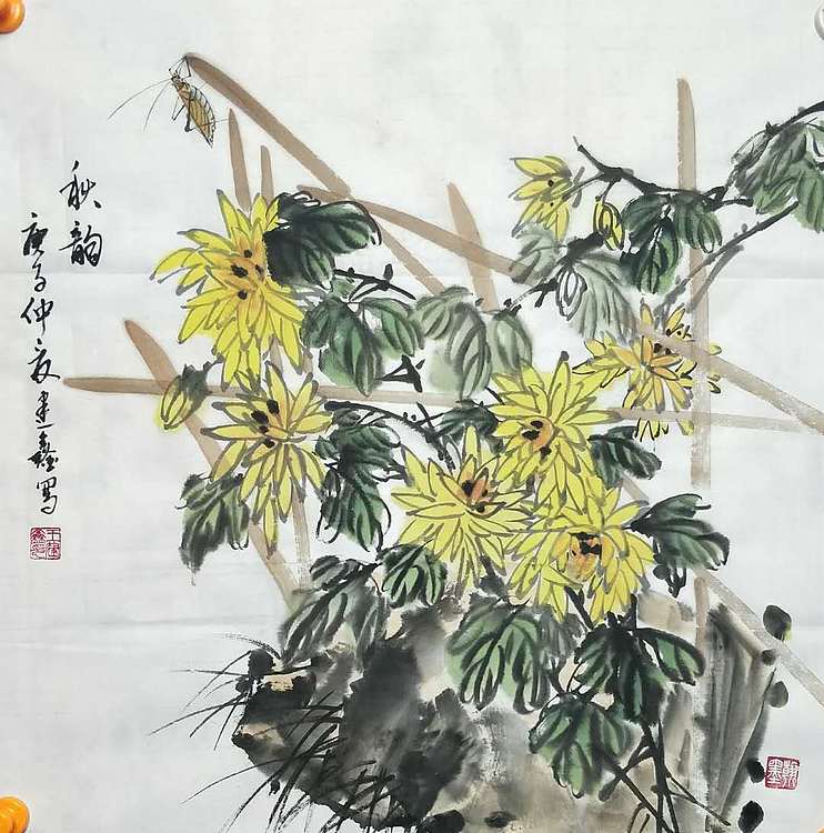 王建鑫 菊花图，秋韵。