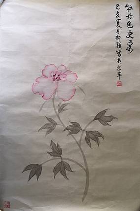 郝颖 牡丹色更柔