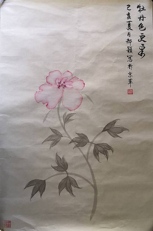 郝颖 牡丹色更柔