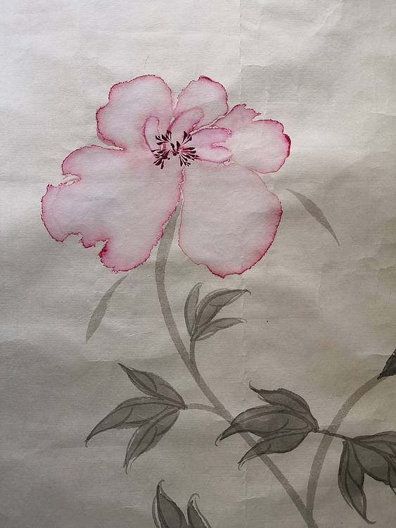 郝颖 牡丹色更柔