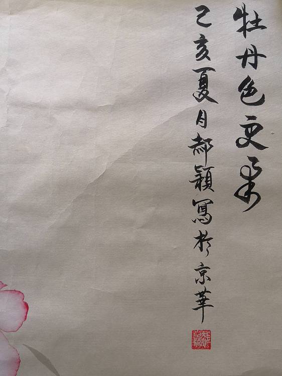 郝颖 牡丹色更柔