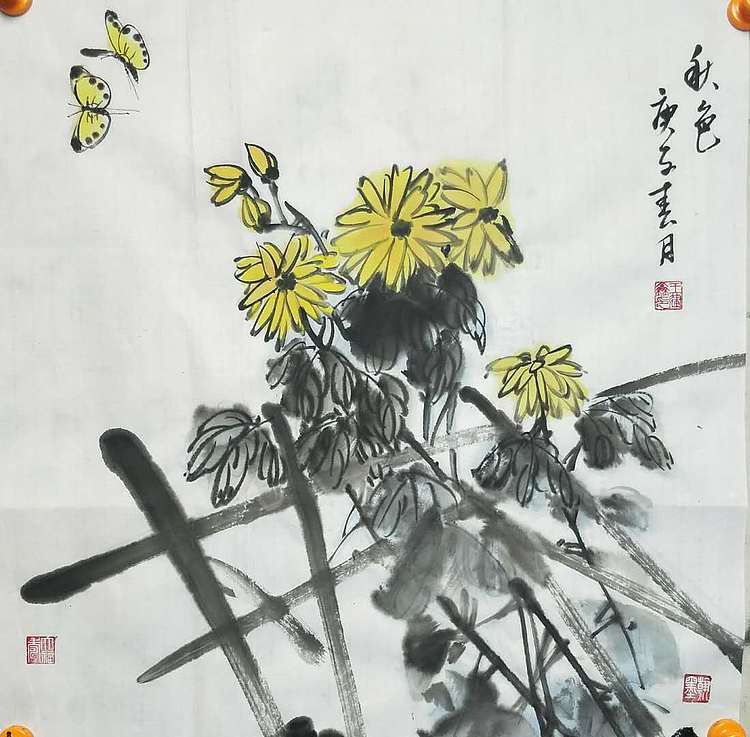 王建鑫 菊花图，秋色。